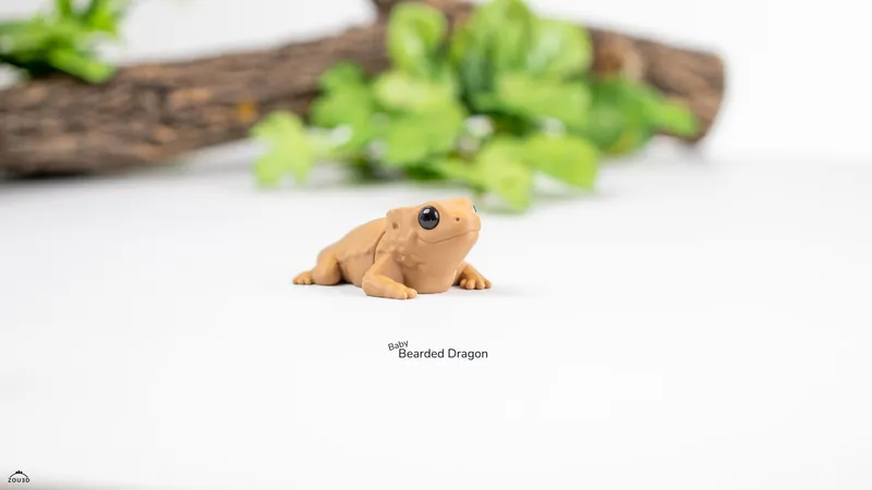 Baby Bearded Dragon