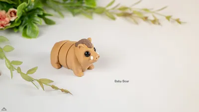 Baby Boar