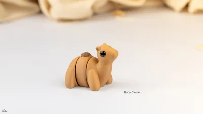 Baby Camel