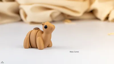Baby Camel