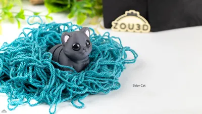 Baby Cat
