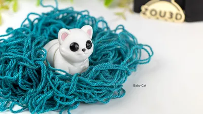 Baby Cat