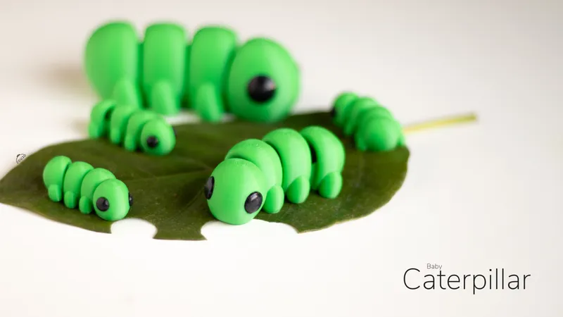 Baby Caterpillar