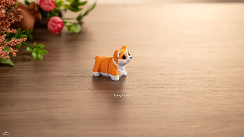 Baby Corgi