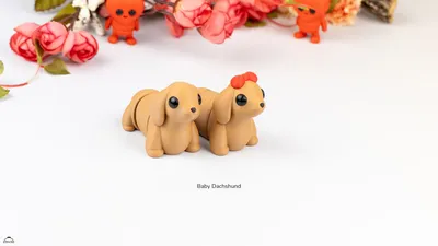 Baby Dachshund