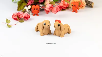Baby Dachshund