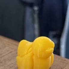 Baby Duck