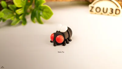 Baby Fly