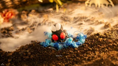 Baby Fly