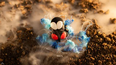 Baby Fly