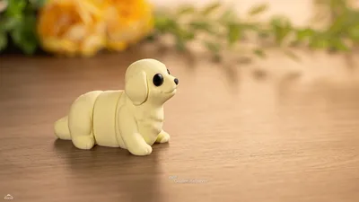 Baby Golden Retriever