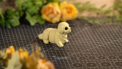 Baby Golden Retriever