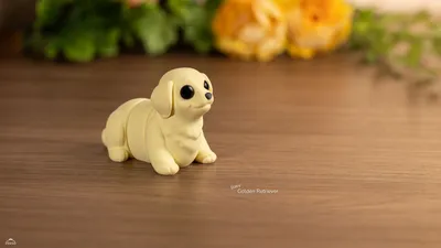 Baby Golden Retriever