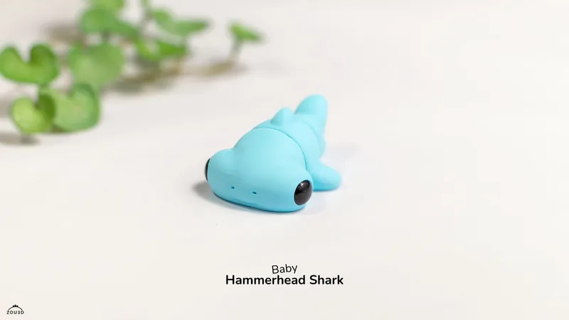 Baby Hammerhead Shark