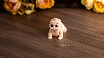 Baby Human