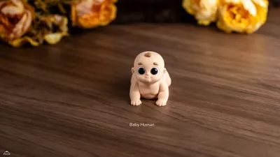Baby Human