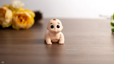 Baby Human