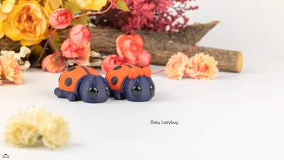 Baby LadyBug