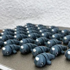 Baby Narwhal
