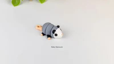 Baby Opossum
