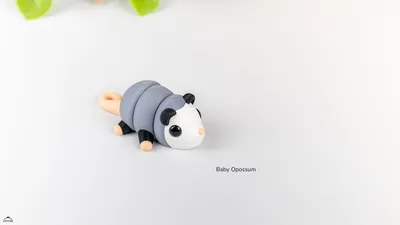Baby Opossum
