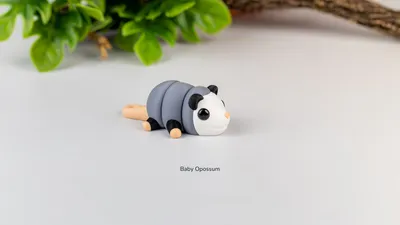 Baby Opossum