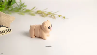 Baby Pig