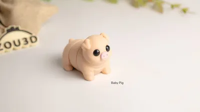 Baby Pig