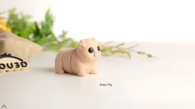 Baby Pig