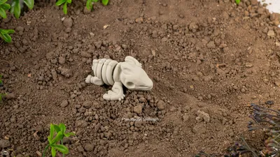 Baby Pterodactyl Skeleton