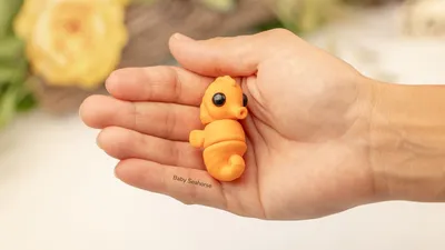 Baby Seahorse