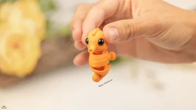 Baby Seahorse