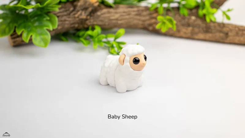 Baby Sheep