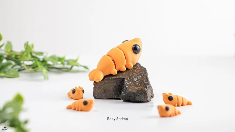 Baby Shrimp