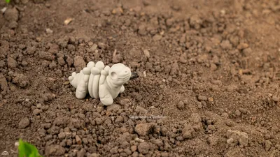 Baby Stegosaurus Skeleton
