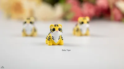 Baby Tiger
