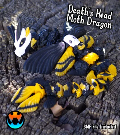 Death's Head Moth Dragon