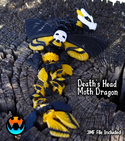 Death's Head Moth Dragon