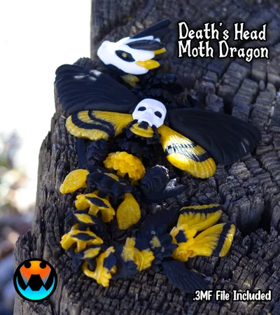 Death's Head Moth Dragon