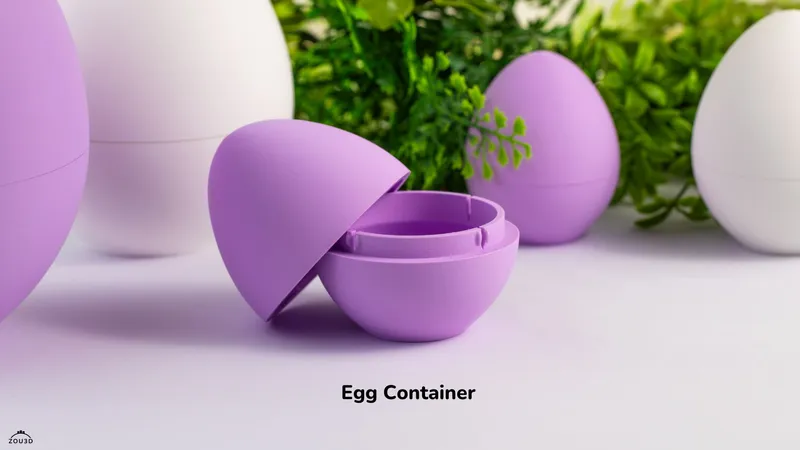Egg Container