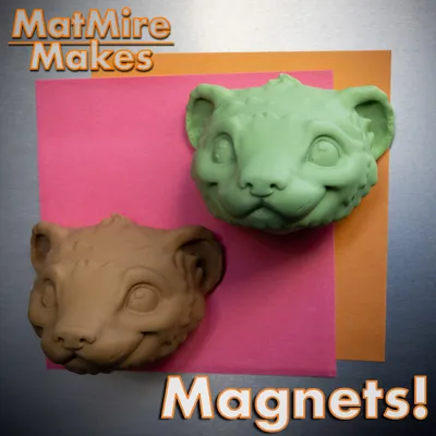 Ferret Fridge Magnets