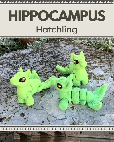 Hippocampus