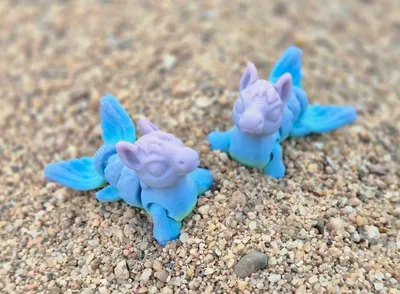 Hippocampus