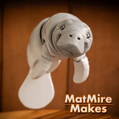 Manatee
