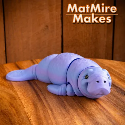 Manatee