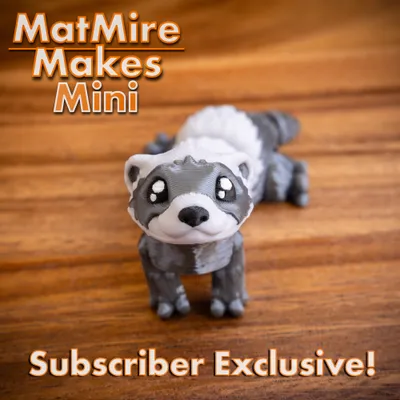 MMMini Ferret