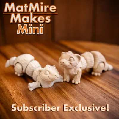 MMMini Ferret