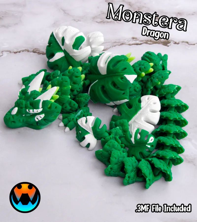 Monstera Dragon