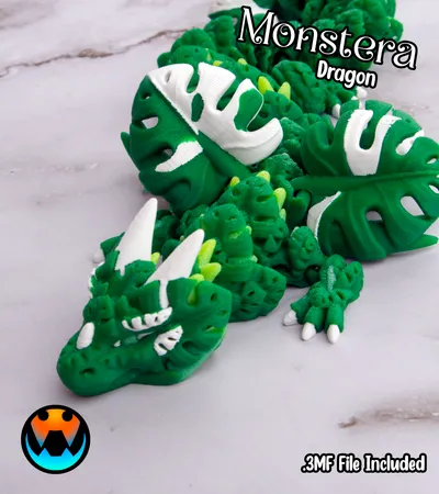 Monstera Dragon