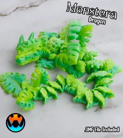 Monstera Dragon